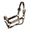 Tory Leather Rochester Congress Show Halter And Lead