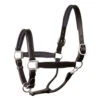Perri's Padded Leather Halter