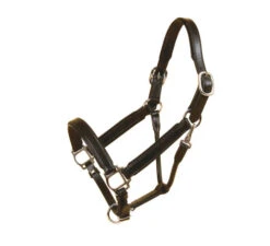 Tory Padded Leather Halter With Nickel Hardware