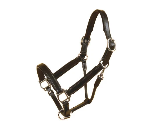 Tory Padded Leather Halter With Nickel Hardware 1 Tory Padded Leather Halter With Nickel Hardware