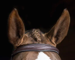 Pessoa PRO Fancy Stitched Tapered Bridle -Horse Gear Shop 470462 pessoa pro fs taper bridl dk brn brow 75194.1669487591