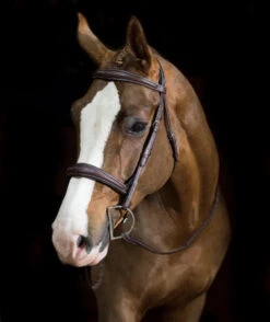 Pessoa PRO Fancy Stitched Tapered Bridle -Horse Gear Shop 470462 pessoa pro fs taper bridl dk brn horse 81669.1669487583