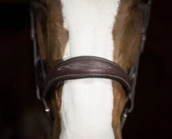 Pessoa PRO Fancy Stitched Tapered Bridle -Horse Gear Shop 470462 pessoa pro fs taper bridl dk brn nose 53987.1669487588