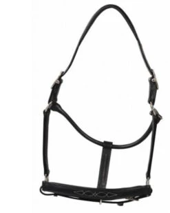 HDR Pony Fancy Padded Leather Halter -Horse Gear Shop 5019halterblack 80901 35602.1618602106