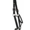 HDR Pony Fancy Padded Leather Halter