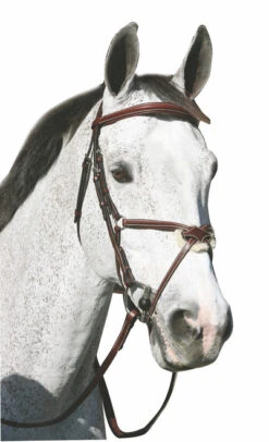 Henri De Rivel Pro Monocrown Figure 8 Bridle 9 Henri De Rivel Pro Monocrown Figure 8 Bridle -Horse Gear Shop 5095 hdr pro monocrown figure 8 bridle 44353.1546552990