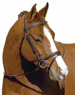 HDR Pro Monocrown Plain Raised Flash Bridle -Horse Gear Shop 5106 hdr pro monocrown flash bridle 61526.1546553105