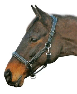 HDR Stress-Free Shaped Crown Halter -Horse Gear Shop 5218 black 27864 26881.1527298209