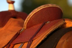 Circle Y Barton Select Rancher Saddle -Horse Gear Shop Barton Ranch Rear Skirting 15051.1600205555