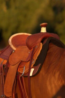Circle Y Barton Select Rancher Saddle -Horse Gear Shop Barton Ranch Right 36019.1600205566