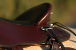 Circle Y Julie Goodnight Cascade Crossover Trail Saddle 1753 -Horse Gear Shop Cascade Skirt 05106.1600203438