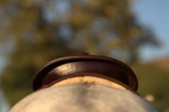 High Horse Daisetta Cordura Trail Saddle By Circle Y -Horse Gear Shop Daisetta Cantle Rear 57003.1600204651