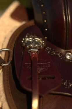 High Horse Daisetta Cordura Trail Saddle By Circle Y -Horse Gear Shop Daisetta Concho 80022.1600204641