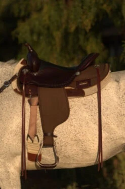 High Horse Daisetta Cordura Trail Saddle By Circle Y -Horse Gear Shop Daisetta Left 05467.1600204671