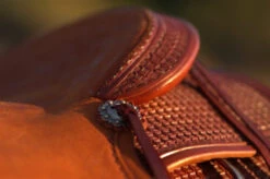 Circle Y Dodge Ranch Sorter Saddle -Horse Gear Shop Dodge Ranch Sorter Concho 72552.1600205719