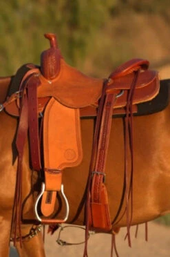 Circle Y Dodge Ranch Sorter Saddle -Horse Gear Shop Dodge Ranch Sorter Left Profile 07231.1600205703