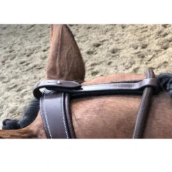 Jump'in Patrick Training Aid -Horse Gear Shop Patrick Training Aid havana poll jumpin 64436.1645560092