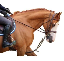 Jump'in Patrick Training Aid -Horse Gear Shop Patrick Training Aid2 jumpin 06200.1645562222