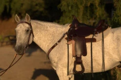 Circle Y Salt River Flex2 Trail Saddle 1667 -Horse Gear Shop Salt River Left Profile on a horse 71261.1600203852