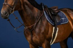 Dy'on Running Martingale