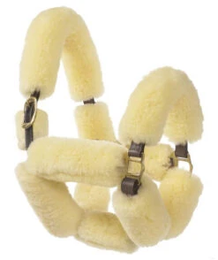 Ovation Sheepskin Pony Shipping Halter -Horse Gear Shop aaaaaaaerk 03486 25746.1527309291