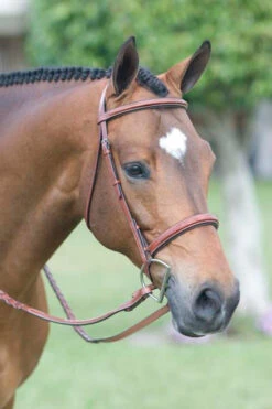 Rodrigo Fancy Stitch Padded Wide Noseband Show Bridle