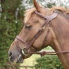 Dy'on Difference Flash Bridle