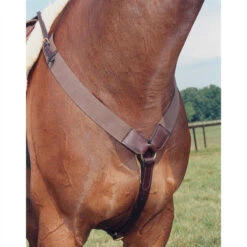 Nunn Finer All Purpose Elastic Breastplate -Horse Gear Shop all purpose elastic breastplate havana nunn finer 45483.1587246212