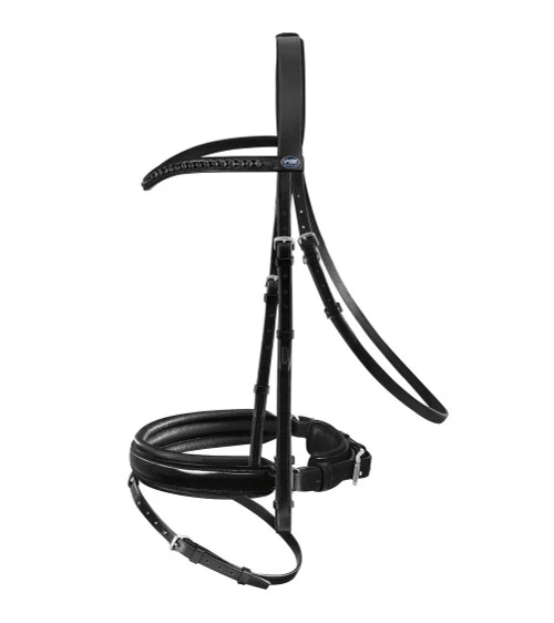 Passier Apollo Patent Leather Snaffle Bridle 2 Passier Apollo Patent Leather Snaffle Bridle - Image 2