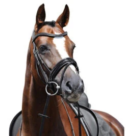 Passier Apollo Patent Leather Snaffle Bridle 8 Passier Apollo Patent Leather Snaffle Bridle -Horse Gear Shop apollo bridle graphite brow horse 880 passier 58418.1690318594