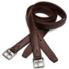 Arena Stirrup Leathers