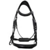 Red Barn Arena Ergonomic Weymouth Bridle