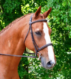 Black Oak Aster Snaffle Bridle