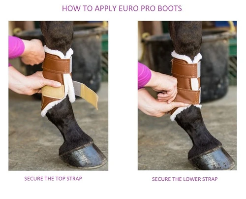 Euro Pro Askan Tall Hind Boot 2 Euro Pro Askan Tall Hind Boot - Image 2