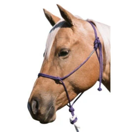 Double Diamond Buck Brannaman 124 Rope Halter -Horse Gear Shop brannaman halter 124 RL double diamond 43478.1635012858