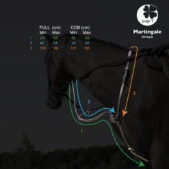 In Horse We Trust C-Cure Elastic Running Martingale -Horse Gear Shop c cure elastic running martingale measure ihwt 12166.1608756538