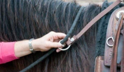 BOOMA Rein Safety Rein -Horse Gear Shop carabineroring 36921 23822.1527296832