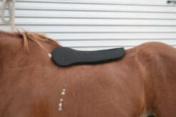 Circle Y Long Shoulder Bridge Pad 3/4" Or 1" -Horse Gear Shop circle y long shoulder bridge pad 3 4 or 1 3 95277.1530647799