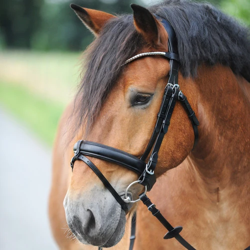 Kavalkade Clinchesse Snaffle Bridle 3 Kavalkade Clinchesse Snaffle Bridle - Image 3