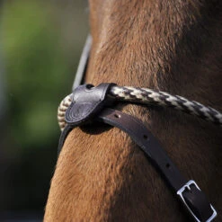 In Horse We Trust Coated Rope Noseband -Horse Gear Shop coated rope noseband havana flash horse ihwt 79428.1658786888