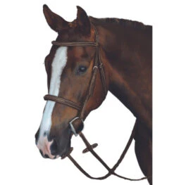 Collegiate Monocrown Fancy Stitch Raised Bridle