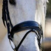 Halter Ego Copenhagen Navy Patent Snaffle Bridle