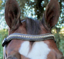 Halter Ego Crystal Jumper Bridle