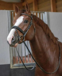 PÉNÉLOPE Pénélope Daily Snaffle Bridle -Horse Gear Shop daily snaffle black front reins 301 602 218 penelope 73321.1688760930