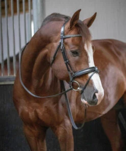 PÉNÉLOPE Pénélope Daily Snaffle Bridle