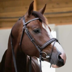 PÉNÉLOPE Pénélope Daily Snaffle Bridle -Horse Gear Shop daily snaffle havana side edit 301 602 318 penelope 16893.1688761003