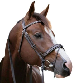 PÉNÉLOPE Pénélope Daily Snaffle Bridle -Horse Gear Shop daily snaffle havana side white 301 602 318 penelope 17043.1688760922