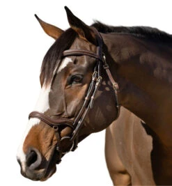 Halter Ego Deauville Anatomical Jumper Bridle -Horse Gear Shop deauville jumper bridle brown left halter ego 55546.1687998645