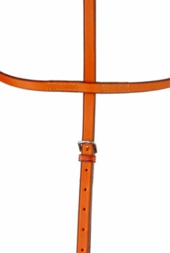 Edgewood Running Martingale -Horse Gear Shop edgewood running martingale 33 93746 89201.1561055041