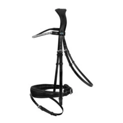 Passier Favorite By Ingrid Snaffle Bridle -Horse Gear Shop favorite by ingrid snaffle black hero 813 passier 21114.1679595602